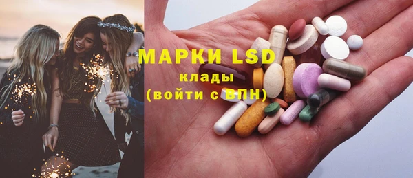 прущие грибы Новодвинск