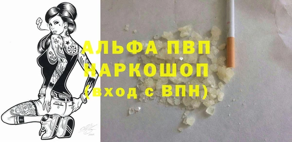 прущие грибы Новодвинск