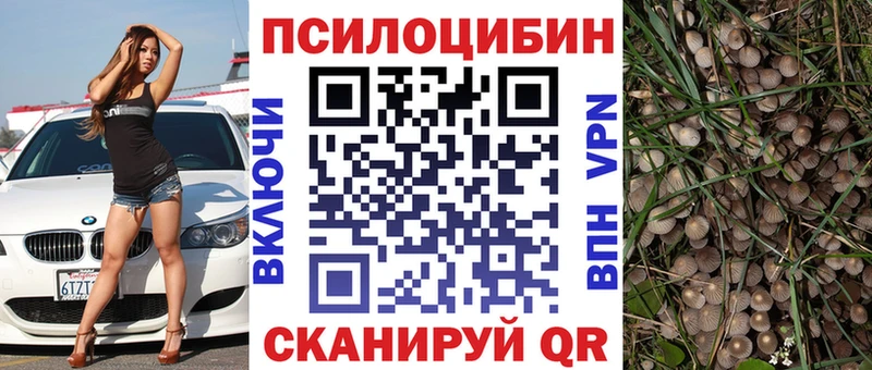 купить наркоту Лосино-Петровский ссылка на мегу ONION Галлюциногенные грибы прущие грибы